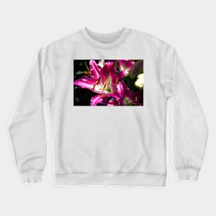 850_4502 Crewneck Sweatshirt